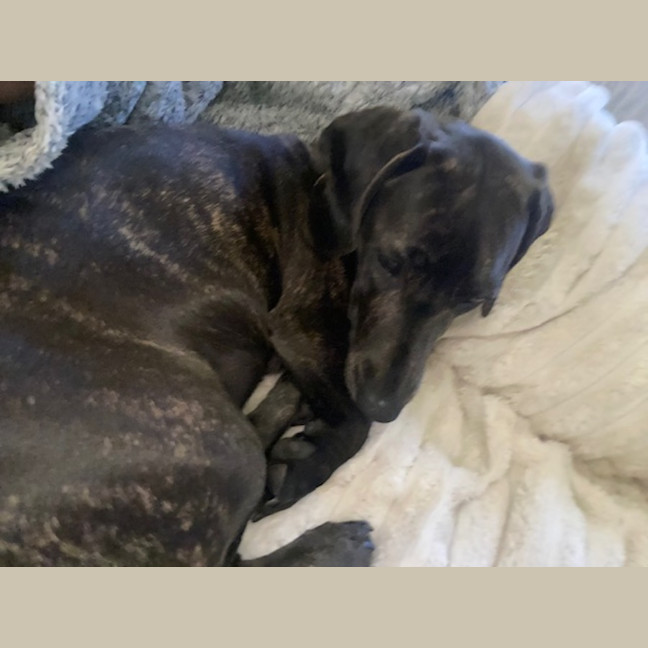 Photo of Elsa