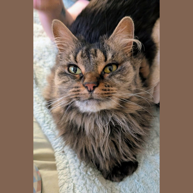 Photo of Tara