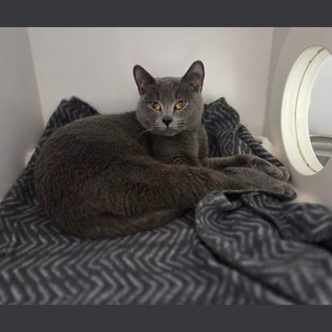 Photo of Stormi