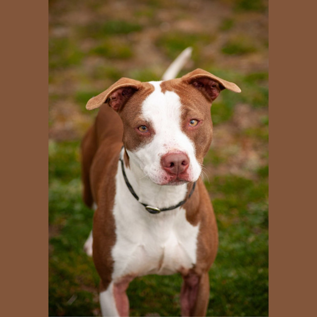 Photo of Sasha 