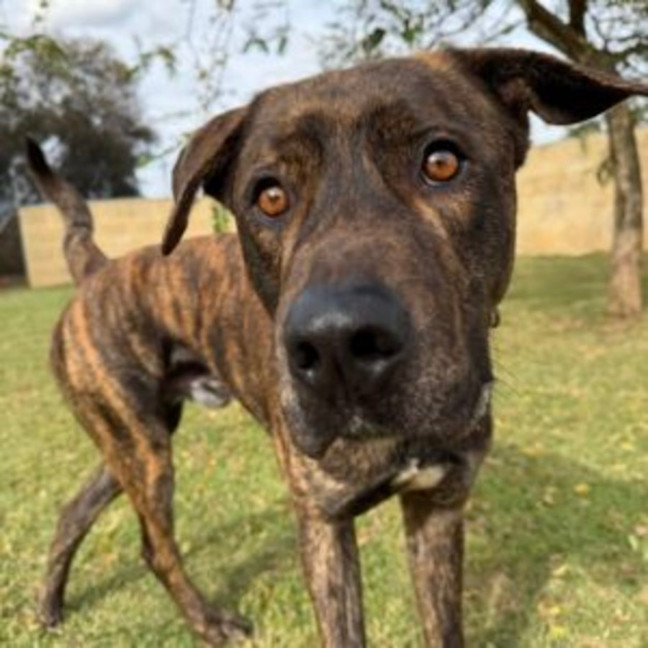 Photo of Zuke