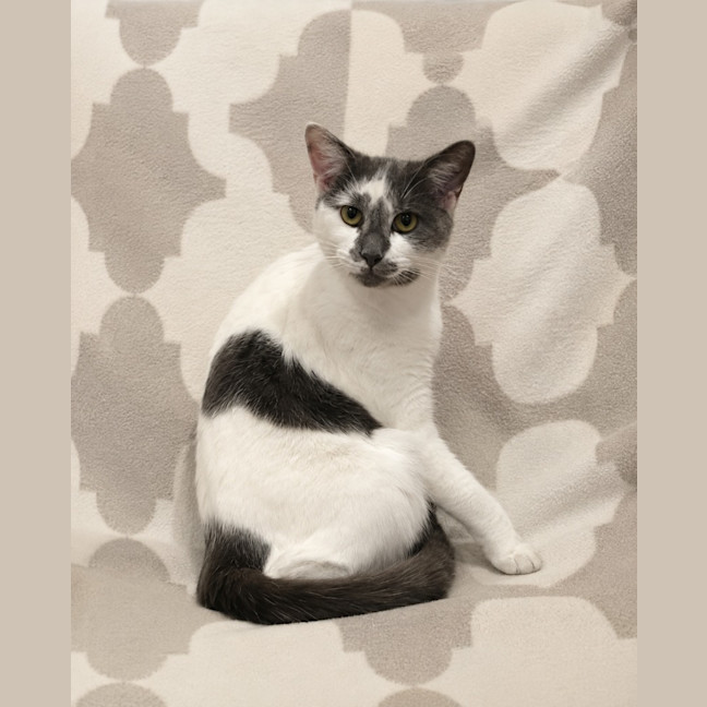 Photo of Lucky