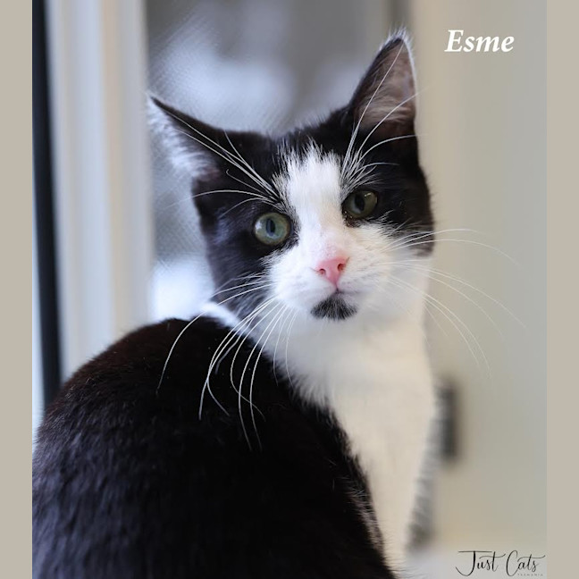 Photo of Esme