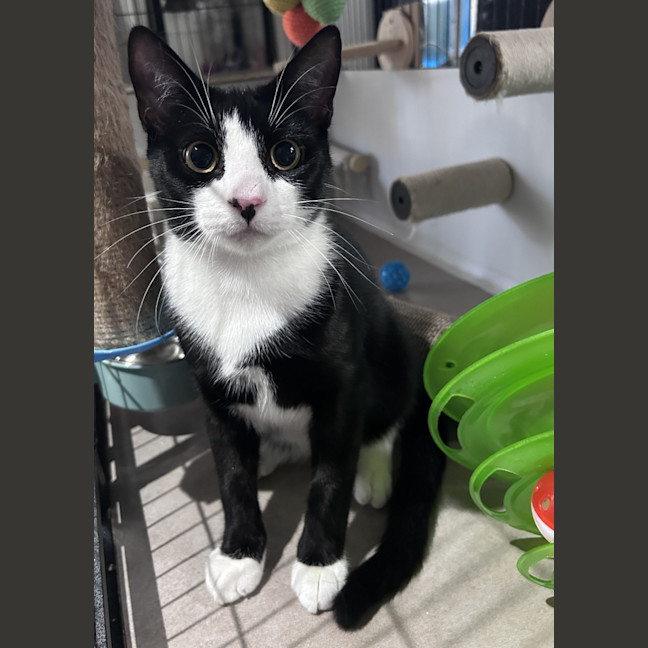 Photo of Colin