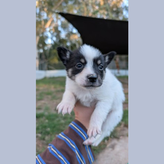 Photo of Lumie