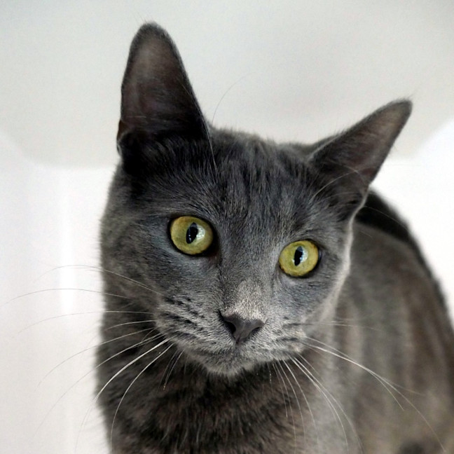 Photo of Natasha Rstk013340