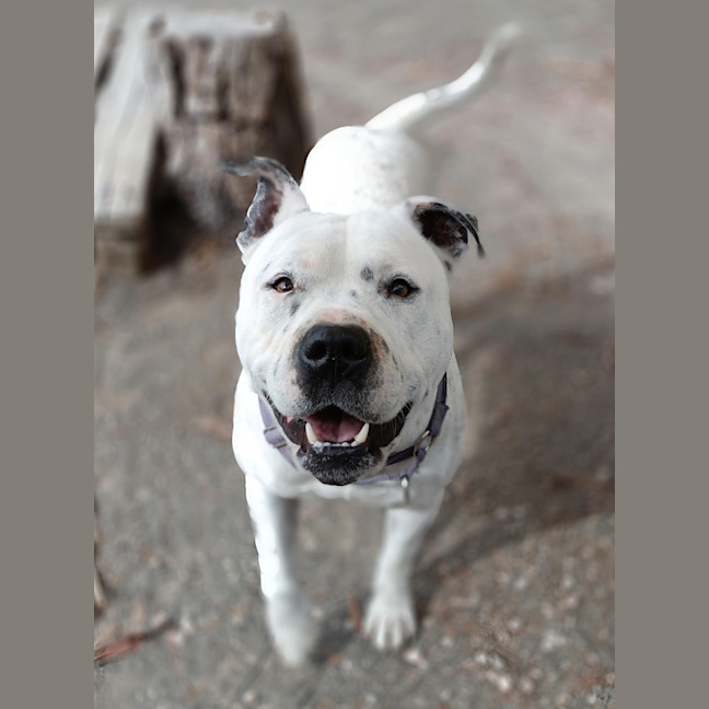 Photo of Ralph Aka Barney