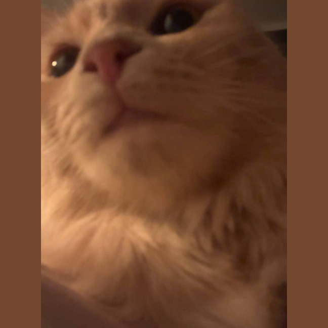 Photo of Leila