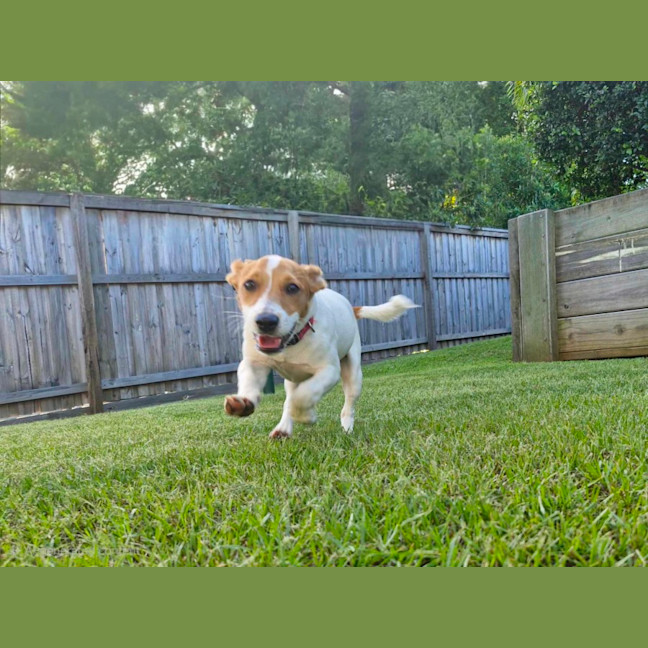 Photo of Milo