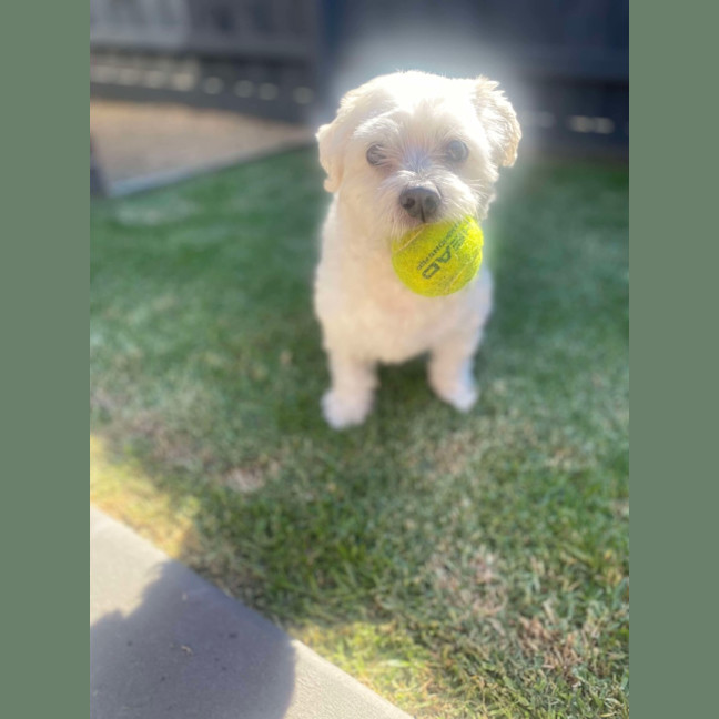 Photo of Max
