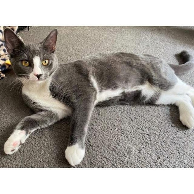 Photo of 11973   Navy