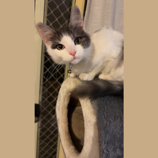 Photo of Aspen