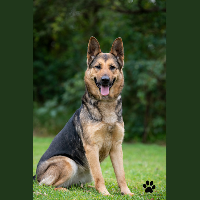 Photo of Sasha