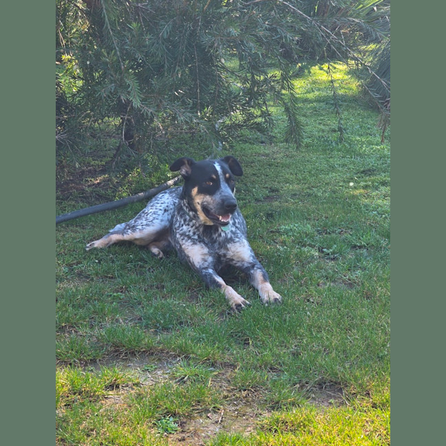 Photo of Paddy