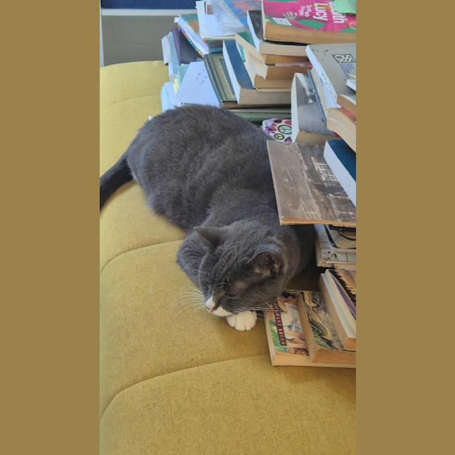Photo of Butternut