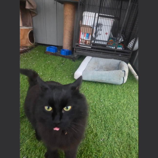 Photo of Wednesday