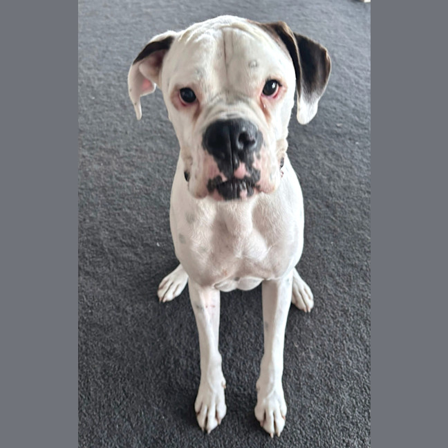 Photo of Rico And Mamacita