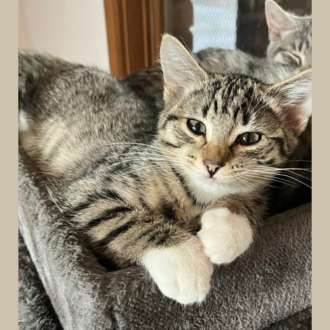 Photo of Sheldon Six