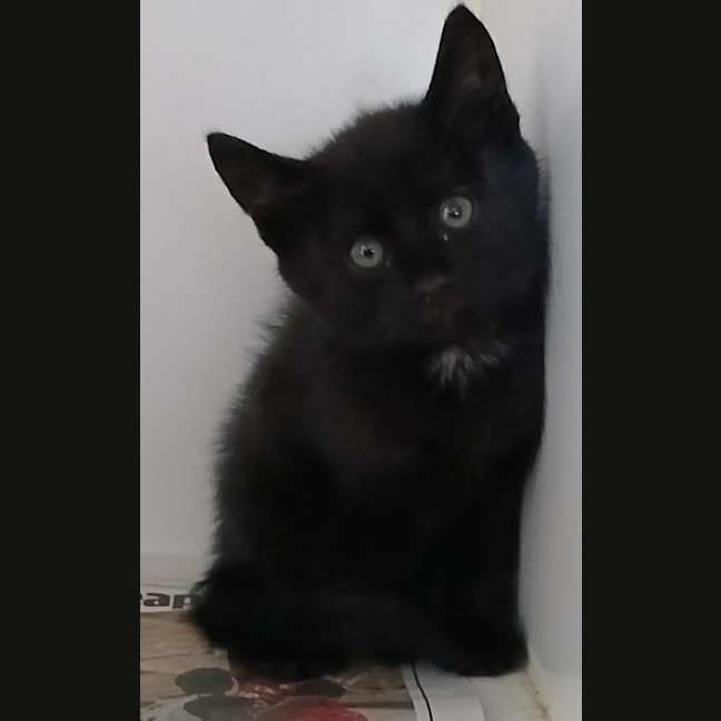 Photo of Minnie