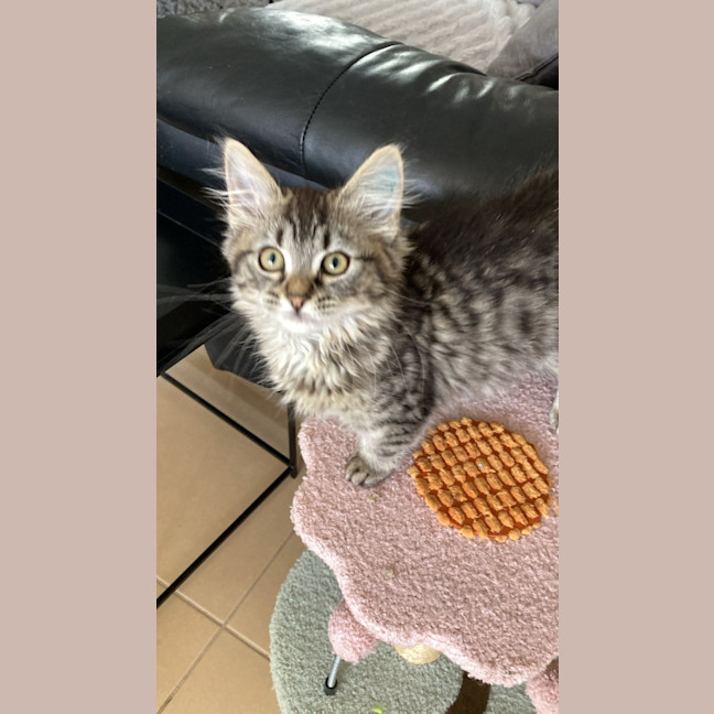 Photo of Princess