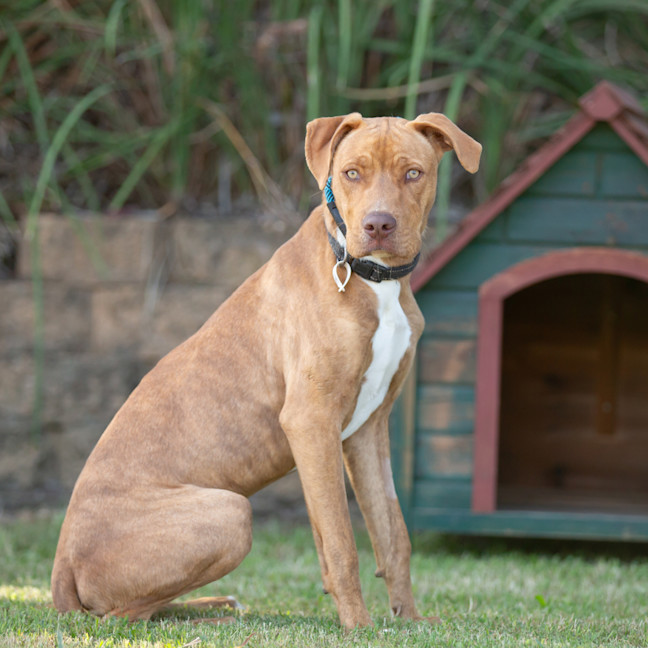Photo of Harley