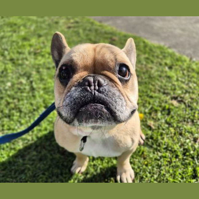 Photo of Melvin