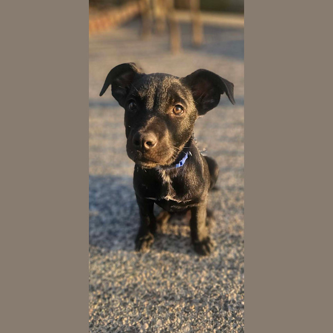 Photo of Denzel