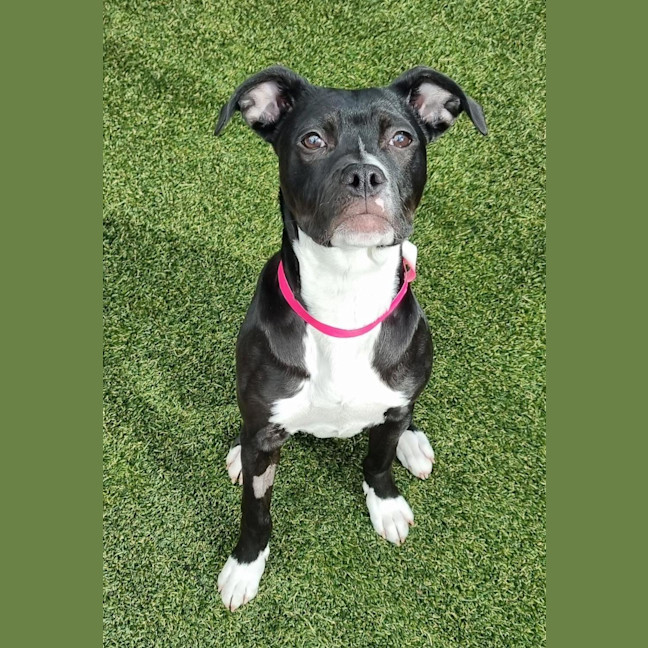 Photo of Edie