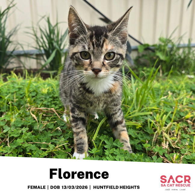 Photo of Florence