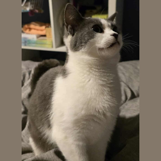 Photo of Minnie
