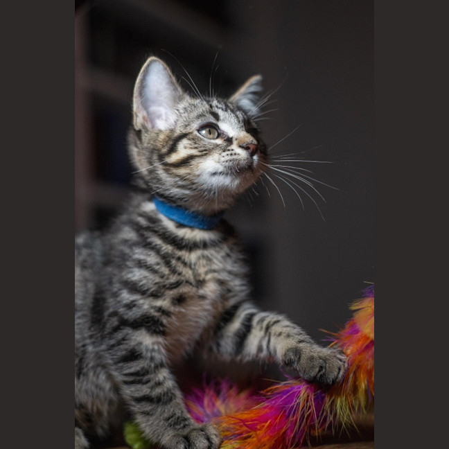 Photo of Irv   Burnie