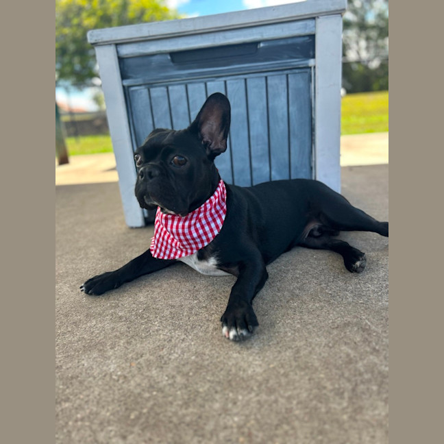 Photo of Winston