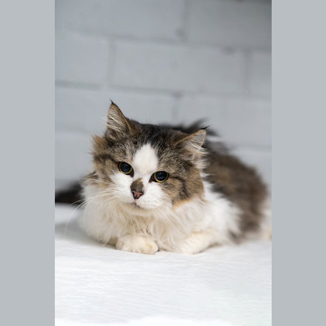 Photo of Bob