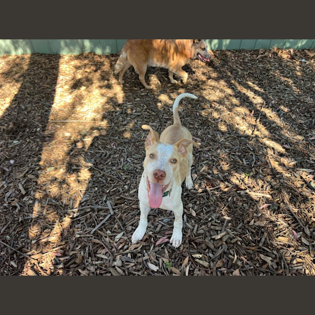 Photo of Sam