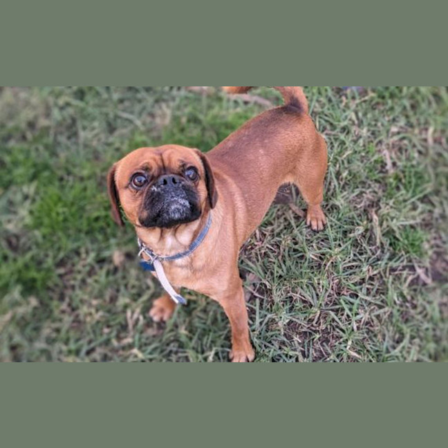Photo of Mason