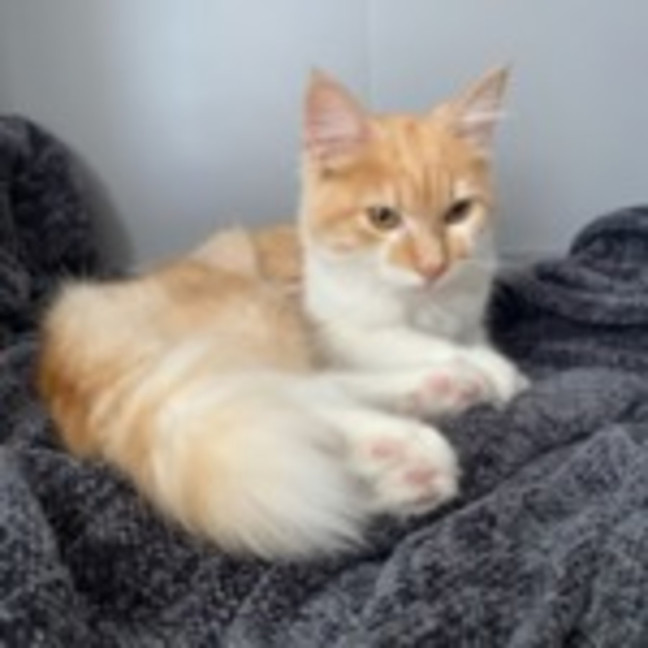 Photo of Mitzi