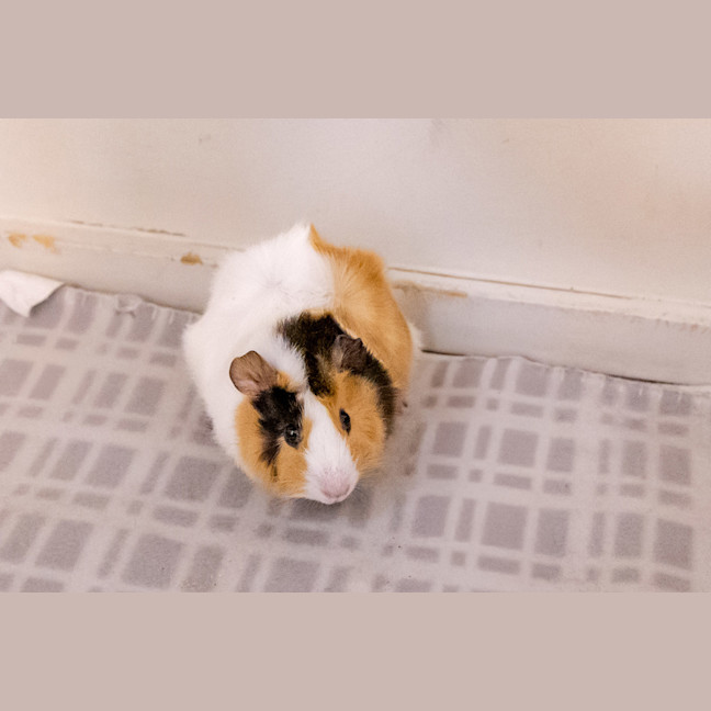 Photo of Zoom