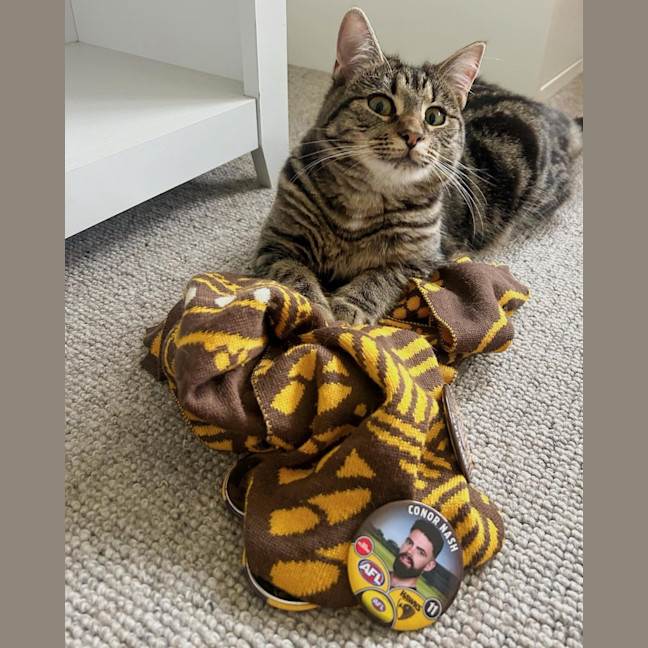 Photo of Sadie