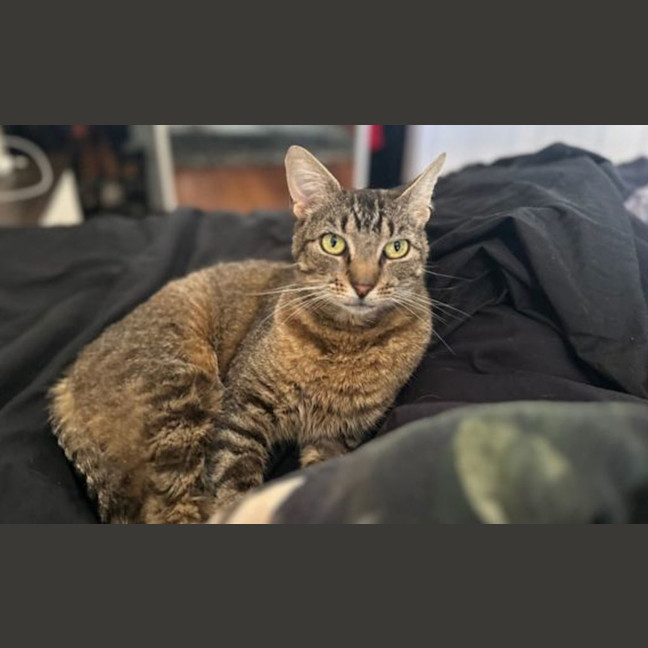 Photo of Twinkle