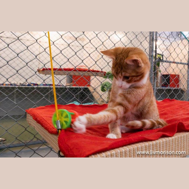 Photo of Diego Moriarty