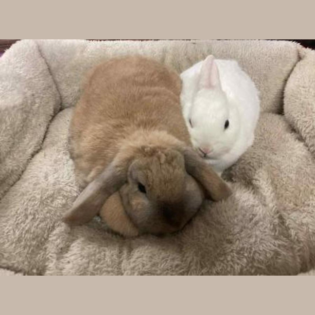 Photo of Holly & Hope