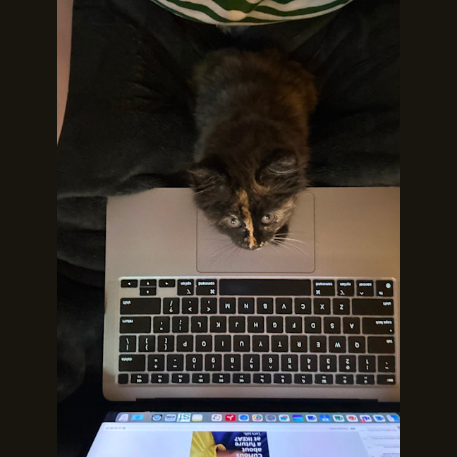 Photo of Reese's Pieces