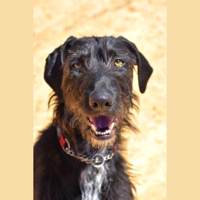 Photo of Roxy Peggotty