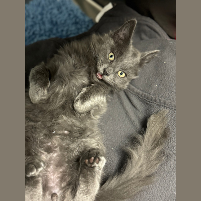 Photo of Bob Barnacles