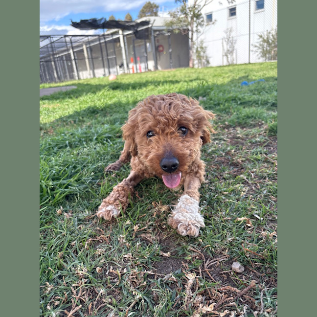 Photo of Bentley
