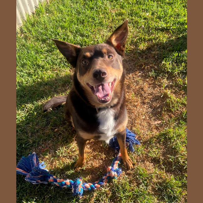 Photo of Jasper