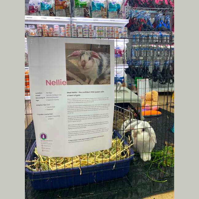 Photo of Nellie