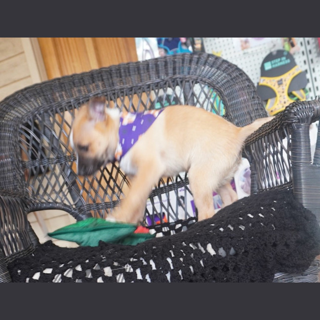 Photo of Flash