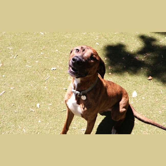 Photo of Tex