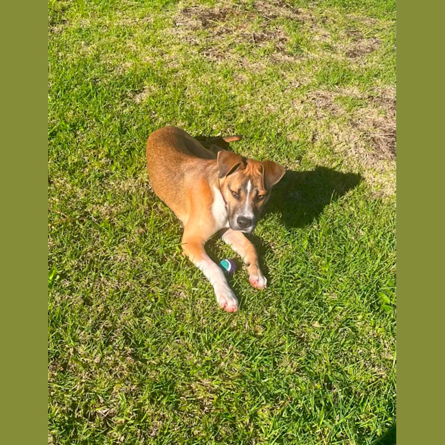 Photo of Buku